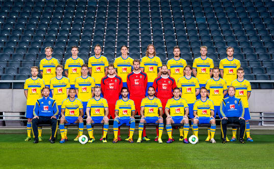 Lagbild på Sveriges landslag i fotboll. Bak fr.v. Mikael