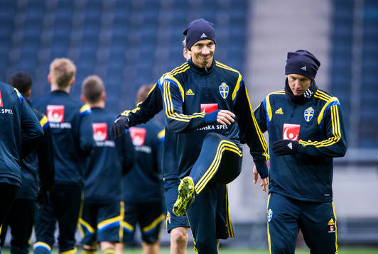 Zlatan Ibrahimovic och Kim Källström