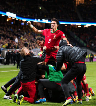 Portugals Pepe jublar