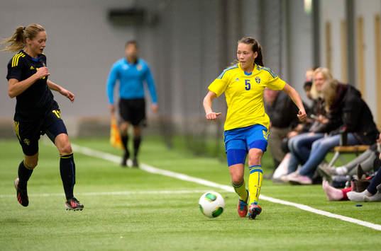 Elin Landström, Sverige
