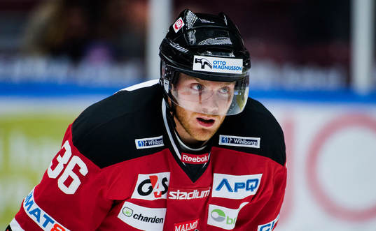 Malmö Redhawks David Liffiton