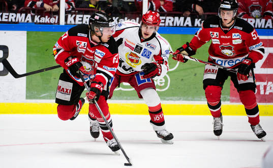 Malmö Redhawks Tobias Ericsson