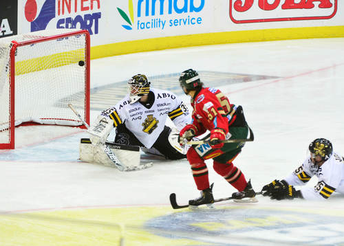 s målvakt Alexander Hamberg