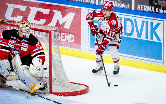 Timrås Anton Wedin tar burskydd