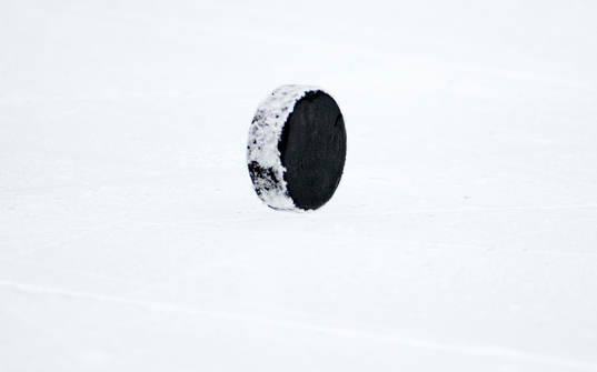 En puck