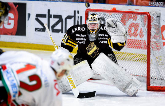 s målvakt Daniel Larsson
