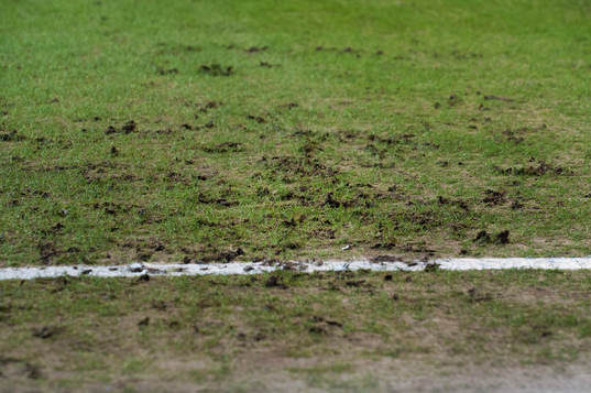 Dålig gräsmatta i matchen i Champions League mellan FC
