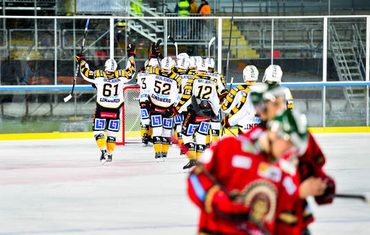 Skellefteå jublar