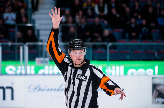 Domare Ulf Rönnmark