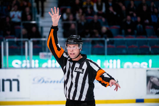 Domare Ulf Rönnmark