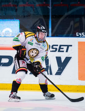 Brynäs Sebastian Enterfeldt
