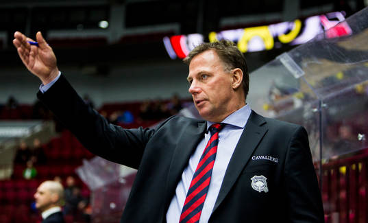 Malmö Redhawks tränare Mats Lusth