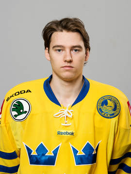 Sveriges Christian Djoos