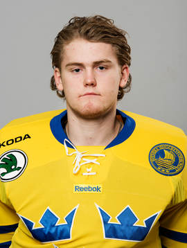 Sveriges målvakt Marcus Högberg