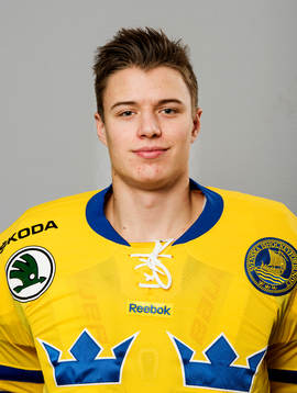 Sveriges målvakt Jonas Johansson