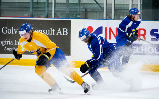 Edwin Hedberg bromsar och sprutar snö när Sveriges