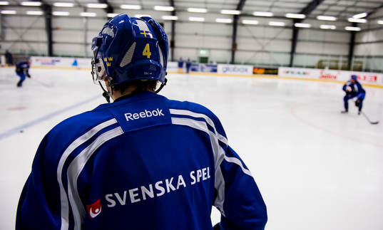 Sveriges JVM-lag tränar