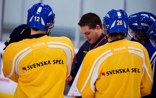 Sveriges JVM-lag tränar