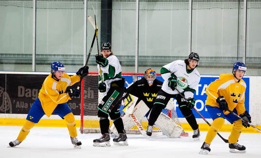 Sveriges Arvid Lundberg, Ludwig Byström och Rögles Emil