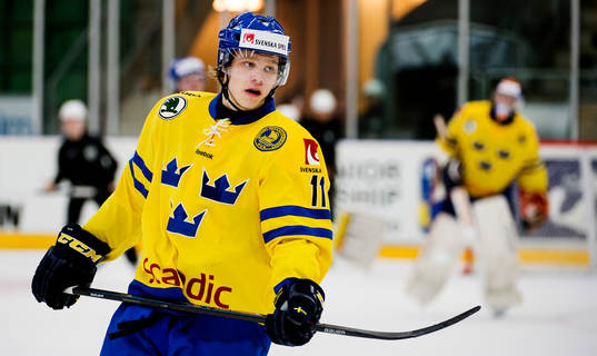 Sveriges Ludvig Nilsson
