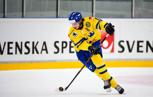 Sveriges Sebastian Collberg