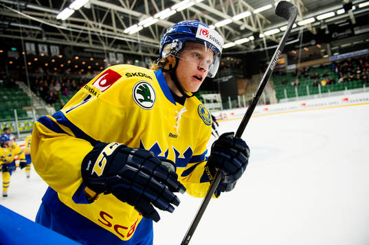 Sveriges Ludvig Nilsson
