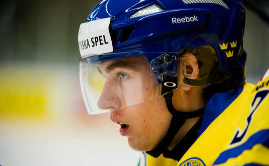Sveriges Christian Djoos