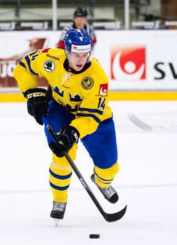 Sveriges Robert Hägg