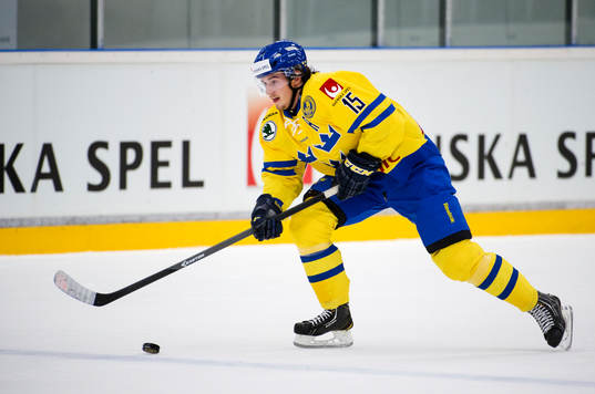 Sveriges Sebastian Collberg