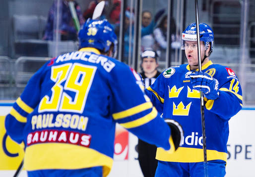 Sveriges Mikael Johansson jublar