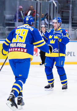 Sveriges Mikael Johansson jublar
