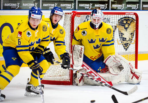 Sveriges målvakt Marcus Högberg