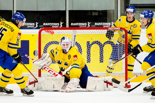 Sveriges målvakt Marcus Högberg