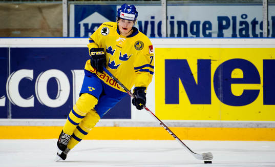 Sveriges Ludwig Byström
