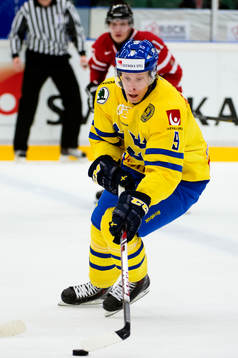 Sveriges Jacob de la Rose