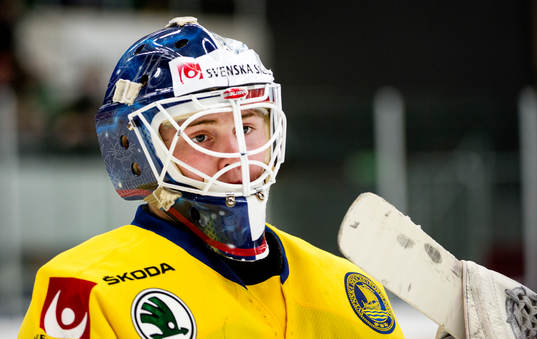Sveriges målvakt Marcus Högberg