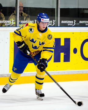 Sveriges Erik Karlsson