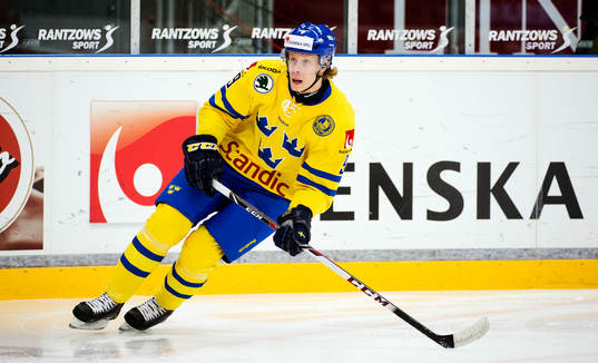 Sveriges Jacob de la Rose