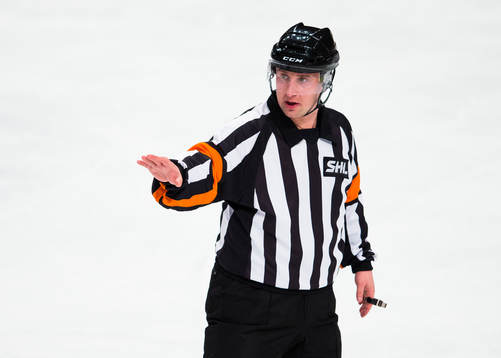 Domare Christoffer Karlsson