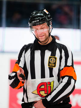 Domare Niclas Johansson