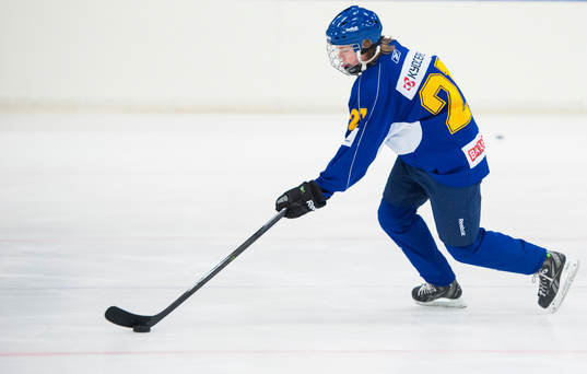 Philip Norberg, Dalarna