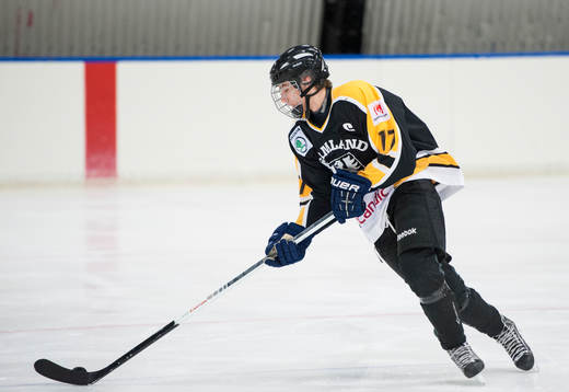 Johan Schreiber, Värmland