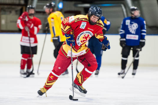 Isac Brännström, Småland