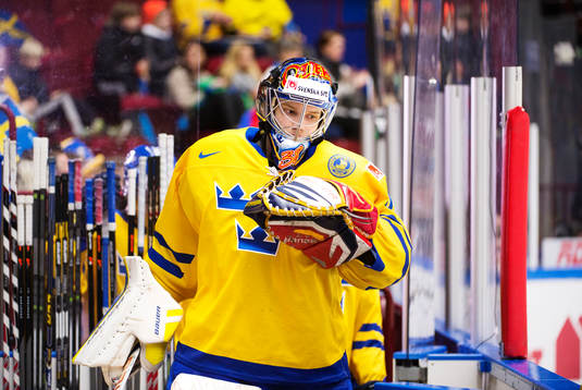 Sveriges målvakt Oscar Dansk