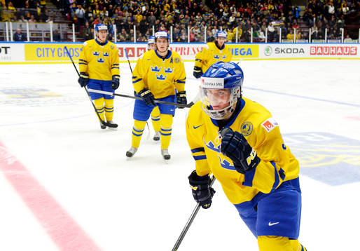 Robin Norell i Sverige jublar