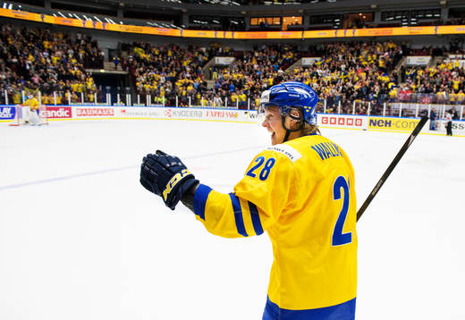 Sveriges Lucas Wallmark jublar