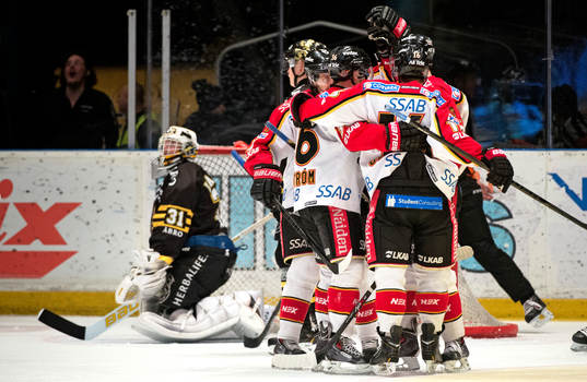 s målvakt Daniel Larsson deppar i bakgrunden