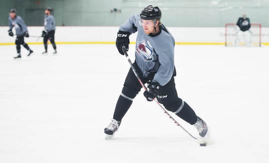 Gabriel Landeskog