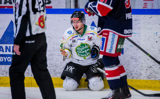 Björklövens Jon Palmebjörk blöder