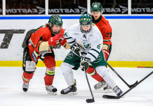 Färjestads Rasmus Asplund